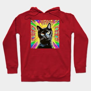 Psychedelic Cat- Jasper Hoodie